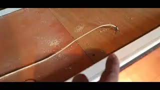 простой брудер своими руками в новом доме