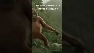 Завтра выходной?