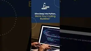 Unleashing Potential: The Python Odyssey- Linux Rabbit