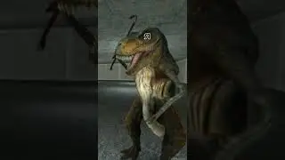 шорты