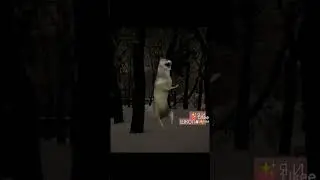 ИЗВИНИТЕ ЗА ДОЛГОЕ ОТСУТСТВИЕ 😂)