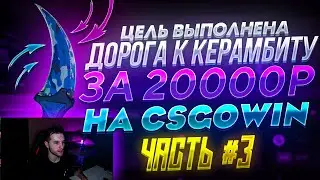Я ЭТО СДЕЛАЛ! С ПРОМОКОДА ДО НОЖА ЗА 20000 РУБЛЕЙ НА CSGOWIN! ЧАСТЬ #3