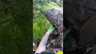 Stihl saw cutting logs