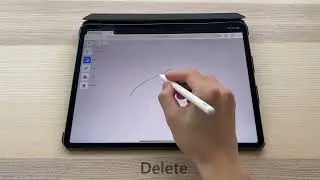 Plasmo Introduction: Delete Curves on iPad