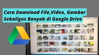 How to Download Multiple Files, Videos, and Images at Once on Google Drive