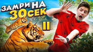 ПОЛУЧИТСЯ ЛИ ЗАМЕРЕТЬ НА 30 СЕКУНД И НЕ ИСПУГАТЬСЯ