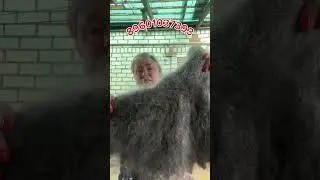29 августа 2024 г.