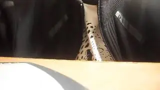 Открытие блога NDPK