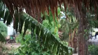 Amazing Raining sound, best for relaxing, Raining sound as music, sound for meditation, #rainsound