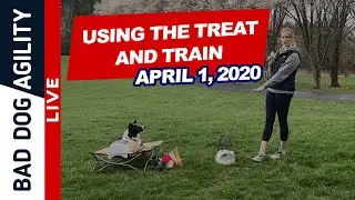 Small Space Training - April 1st, 2020 (Treat and Train)