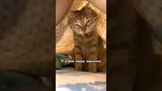 Рекомендую, работает😂👍🎯 #shorts #мотивация #психология