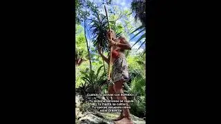 Activa tu chakra raiz