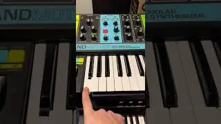 Moog Jam with Labyrinth, Spectravox, Matriarch & Grandmother 🎹 #moog #synthesizer