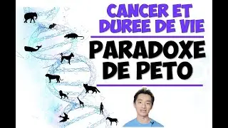 Pourquoi les éléphants et les baleines ont moins de cancers que nous ? Le Paradoxe de Péto