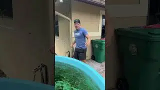WHAT’S MY FAVORITE ANIMAL?