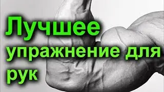 Самое эффективное упражнение для Рук