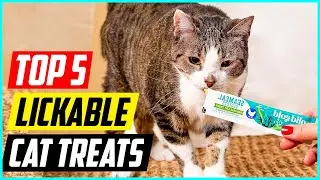 5 Best Lickable Cat Treats for 2024