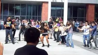 UNLV Gangam Style Flash Mob