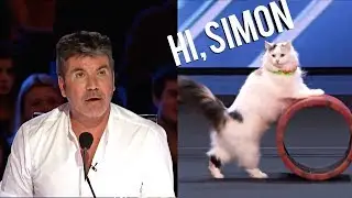 The Savitsky Cats: Super Trained Cats Wows on America's Got Talent 2018