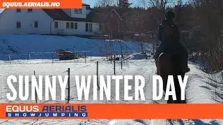 Sunny Winter Day - @equusaerialis