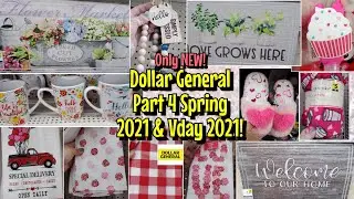 DOLLAR GENERAL SPRING 2021 VALENTINES DAY 2021 SHOP WITH ME STORE WALKTHROUGH