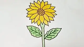 how to draw a sunflower for beginners | easy sunflower drawing | step by step - farhana drawing