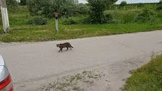 Чем занималась? Перевесила рольшторы.