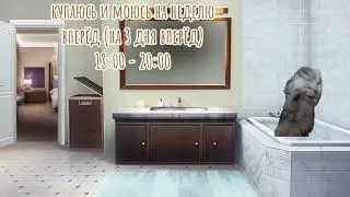 Моё обычное воскресенье #мемныекоты