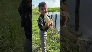 Release the fish🐬