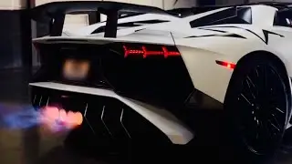 Why This Gintani Exhaust is Worth the Money