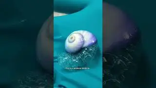 I caught this in my net