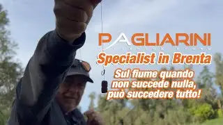 Specialist in Brenta
