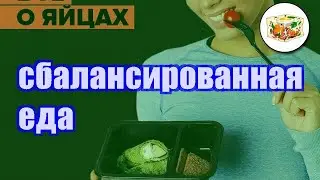 Готовое питание для похудения с доставкой
