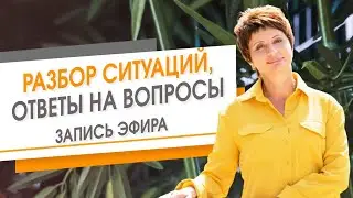 Разбор ситуаций и ответы на вопросы. Запись эфира | Елена Ачкасова