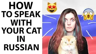 How to speak with YOUR CAT in Russian!