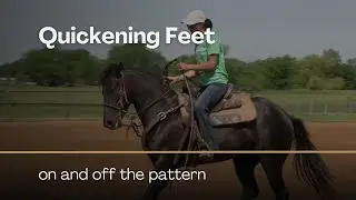 Quickening Feet on a Young Barrel Horse On and Off the Pattern with Jolene Montgomery