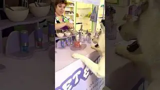 Il mio CANE ordina un GELATO nella GELATERIA per CANI 🐶🍦😋 