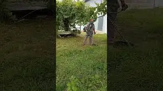 Кости траву (Ot biçirik)#youtube #tiktok #masalli #shotrs #травы           11 07 2024.
