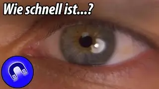 Wie schnell ist...der menschliche Körper?