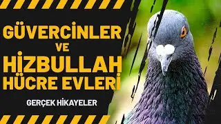 Pigeons and Hezbollah Safe Houses | Blood-Chilling Memories, Part 4