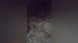 Баянаул 22.г