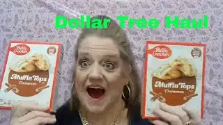 Large Dollar Tree Haul!  Hi you All!!!
