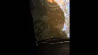 Ьоао