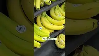 Get your bananas while they’re still cheap! 🍌 ⚠️