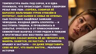 «СЫНОВЕЙ В ПРИЮТ, А ЕЁ ВЫКИНЬ!» — муж послушал мать и ушёл. Но сын открыл шкатулку деда...