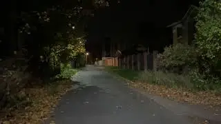 Some quiet night walk / Fall 2021