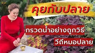 คุยกับปลาย : กรวดน้ำแบบไหนได้บุญมากที่สุด