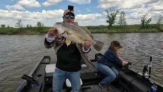 Giant Freshwater Drum Of The Whitemud River