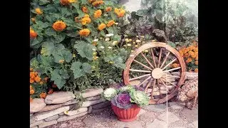 THE COTTAGE IN THE STYLE OF COUNTRY - VILLAGE SURVEY