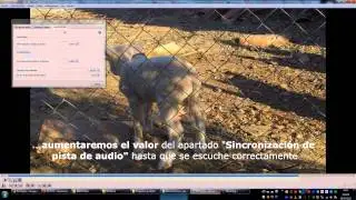Sincronizar sonido y vídeo con VLC Player